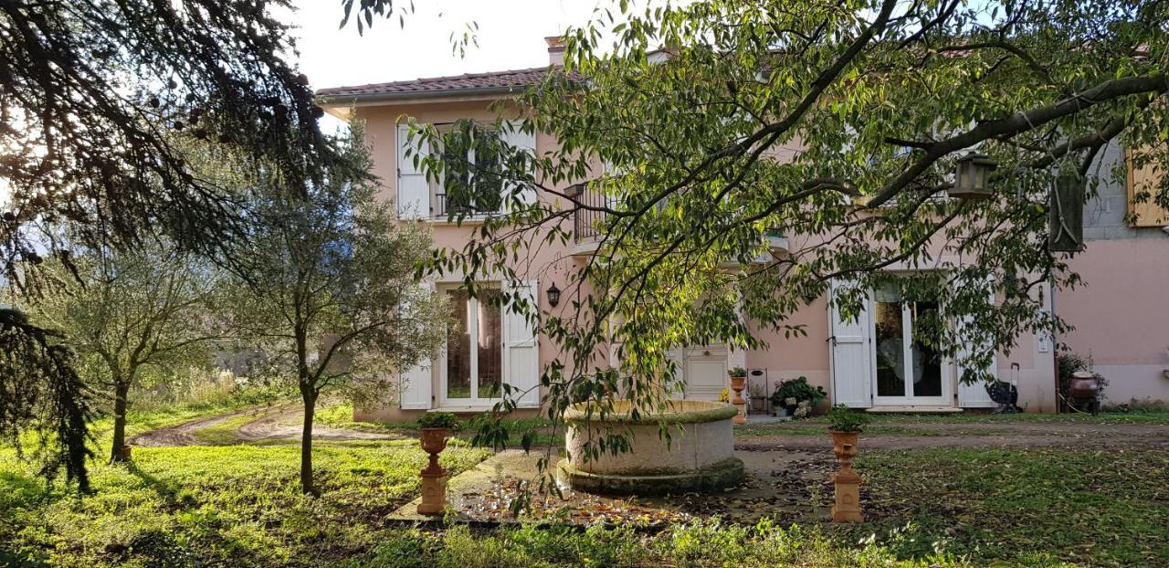L'Ecrin De Vert Saint-Alban-du-Rhône Екстериор снимка