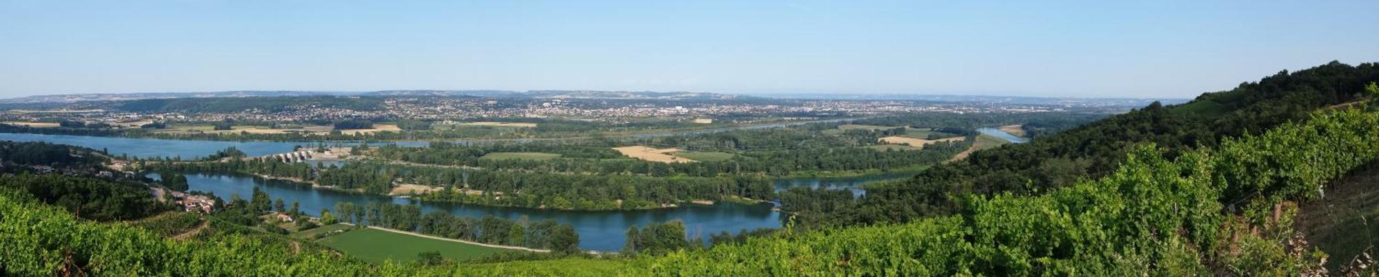L'Ecrin De Vert Saint-Alban-du-Rhône Стая снимка